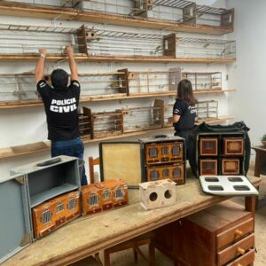 Operação Trilha do Gado: PC cumpre buscas após gado furtado ser vendido em leilão e apreende animais silvestres em cativeiro