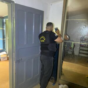 Operação Trilha do Gado: PC cumpre buscas após gado furtado ser vendido em leilão e apreende animais silvestres em cativeiro