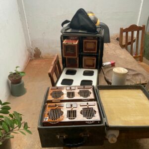 Operação Trilha do Gado: PC cumpre buscas após gado furtado ser vendido em leilão e apreende animais silvestres em cativeiro