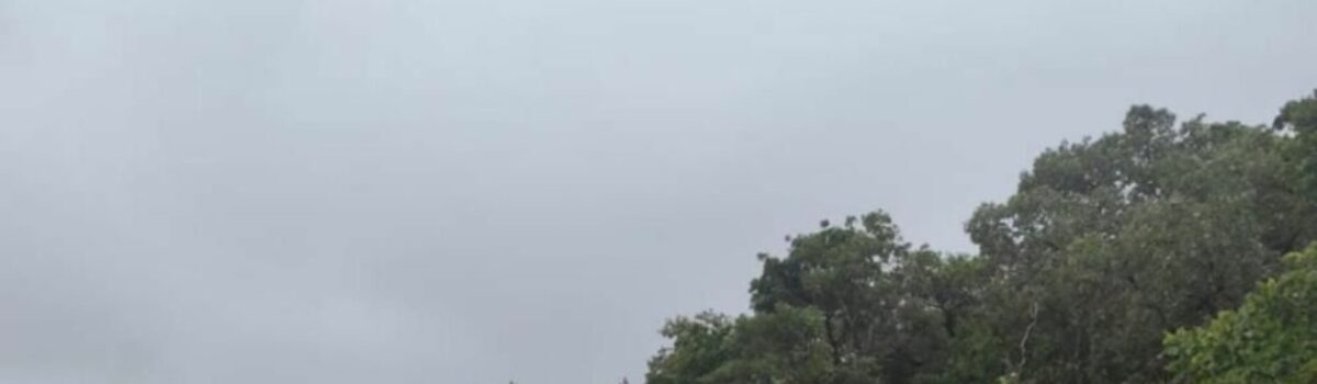 PCGO localiza cadáver em cisterna, na zona rural de Diorama