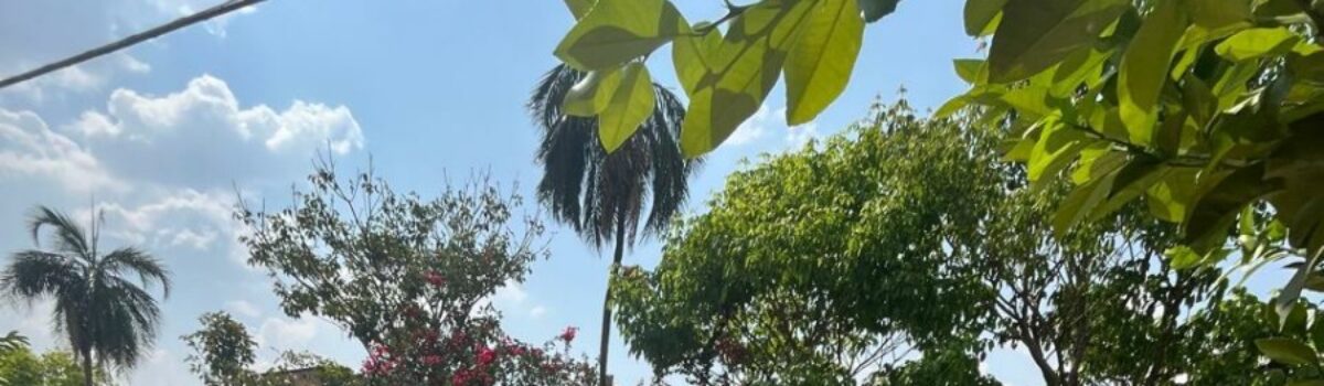 Polícia Civil investiga e prende preventivamente líder religioso por estupro contra três crianças