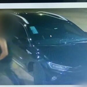 Homem embriagado que matou casal em acidente de trânsito na GO-060 é preso pela PCGO no Tocantins