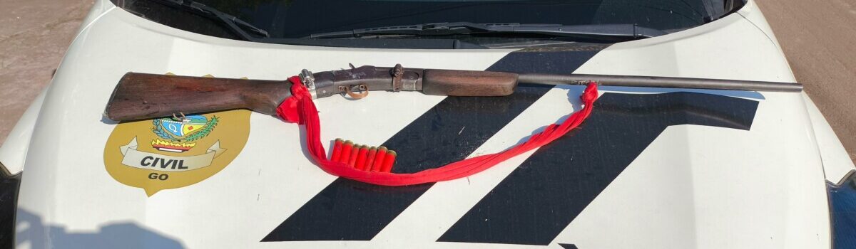 PCGO prende homem por violência doméstica e apreende arma de fogo
