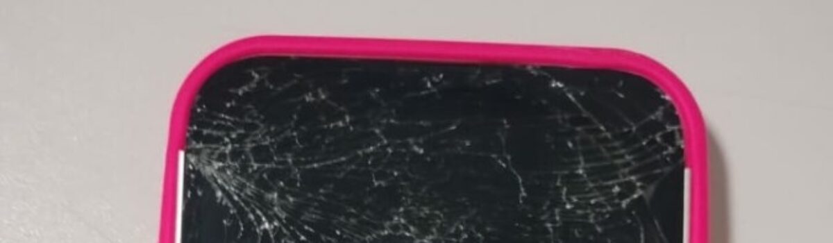 Homem é preso após quebrar celular de ex-companheira e ameaçá-la em festa no Parque de Exposição, em Luziânia