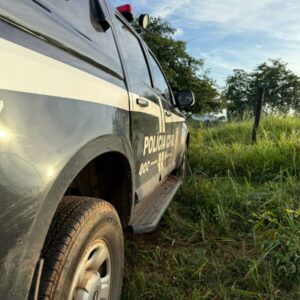 PCGO cumpre buscas relacionadas a investigação de homicídio e apreende diversa quantidade de carne de caça