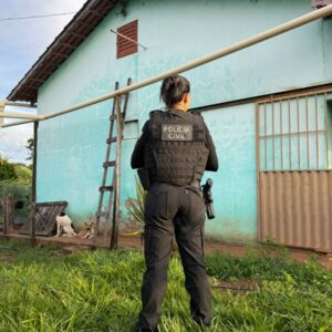 PCGO cumpre buscas relacionadas a investigação de homicídio e apreende diversa quantidade de carne de caça