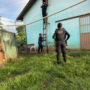 PCGO cumpre buscas relacionadas a investigação de homicídio e apreende diversa quantidade de carne de caça