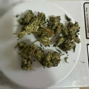 ‘Hemp Delivery’: PCGO desmantela rede de distribuição de maconha gourmet e bloqueia R$ 1,5 milhão de investigados