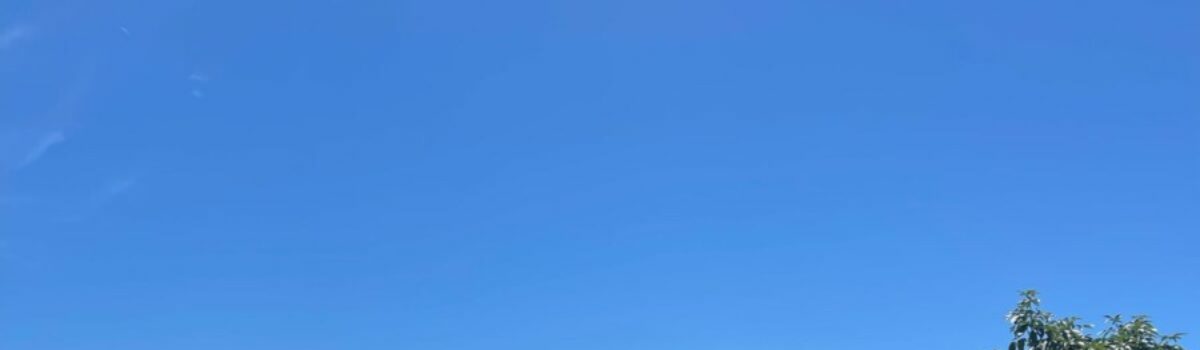 Operação “Folião Seguro”: com mais de 100 policiais nas ruas, PCGO prende 20 pessoas em São Simão