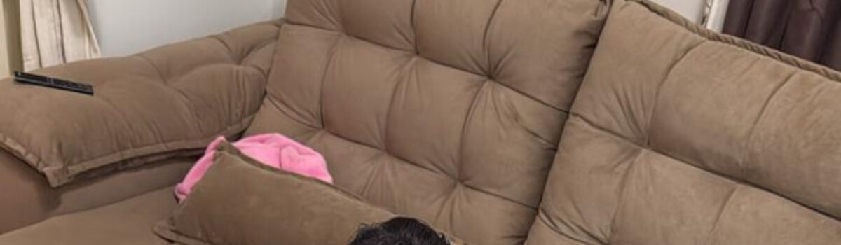 “Pacto Sistêmico”: PCGO deflagra operação em Cidade Ocidental para investigar crimes contra a administração pública