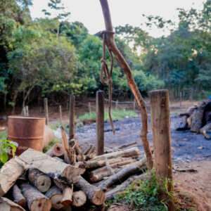 PCGO fecha matadouro clandestino de cavalos e apreende 700 quilogramas de carne imprópria para consumo