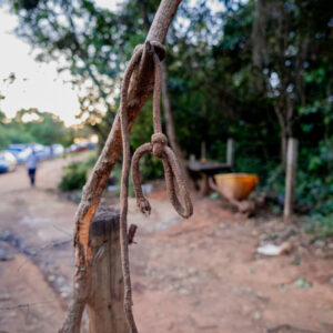 PCGO fecha matadouro clandestino de cavalos e apreende 700 quilogramas de carne imprópria para consumo