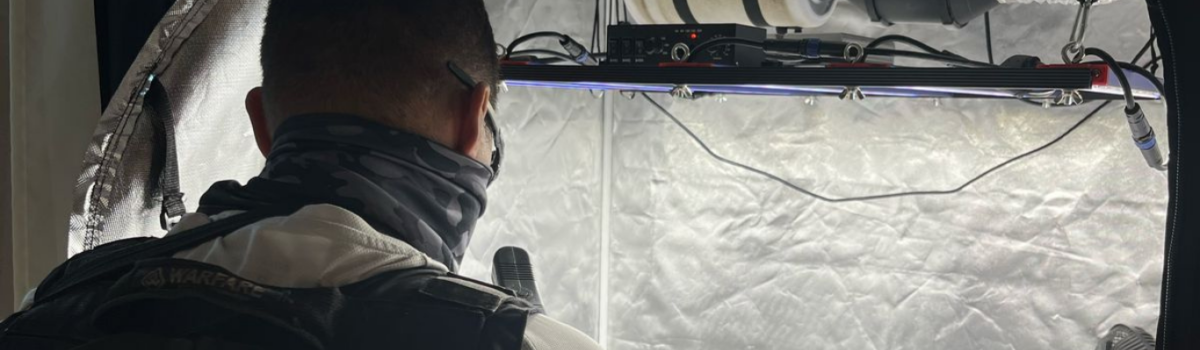 ‘Green House’: PCGO apreende estufa de maconha em Anápolis