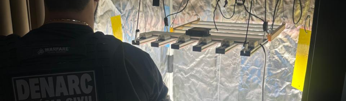 Operação ‘Oil Green’: PCGO fecha laboratório de maconha usado na produção de óleo e shampoo em bairro nobre de Goiânia