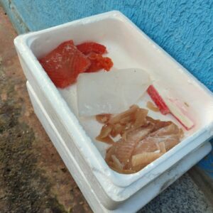 PCGO prende homem que operava restaurante clandestino de comida japonesa em Goiânia