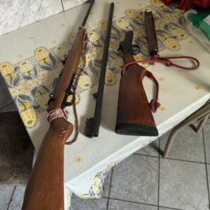 Operação Mulher + Segura: apreensão de armas de fogo