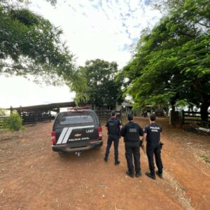 Operação Mulher + Segura: apreensão de armas de fogo