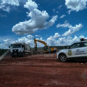 PCGO fecha matadouro clandestino de cavalos e apreende 700 quilogramas de carne imprópria para consumo