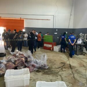 PCGO fecha matadouro clandestino de cavalos e apreende 700 quilogramas de carne imprópria para consumo