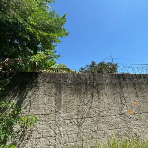 PCGO prende autor de diversos furtos a condomínios de luxo; R$ 122 mil em espécie foi apreendido