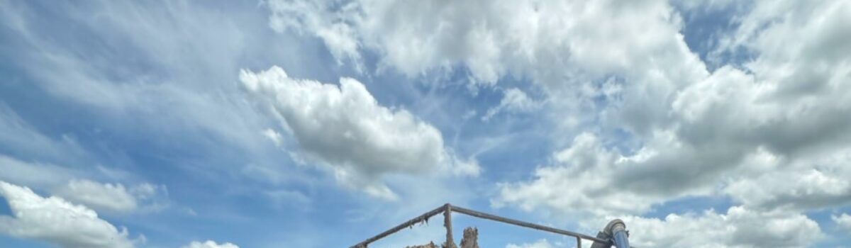 Polícia Civil prende três pessoas em flagrante por crimes ambientais e porte ilegal de arma em frigorífico de Porangatu