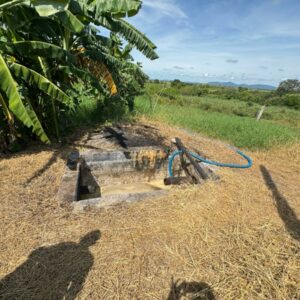 Polícia Civil prende três pessoas em flagrante por crimes ambientais e porte ilegal de arma em frigorífico de Porangatu