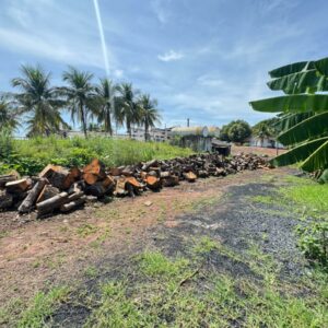 Polícia Civil prende três pessoas em flagrante por crimes ambientais e porte ilegal de arma em frigorífico de Porangatu