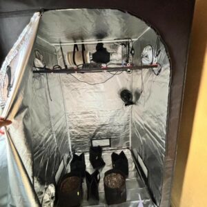 ‘Green House’: PCGO apreende estufa de maconha em Anápolis