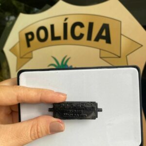 PCGO prende mulher por operar sofisticado esquema comercial de atestados médicos falsos em Goianésia