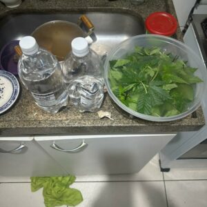 Operação ‘Oil Green’: PCGO fecha laboratório de maconha usado na produção de óleo e shampoo em bairro nobre de Goiânia