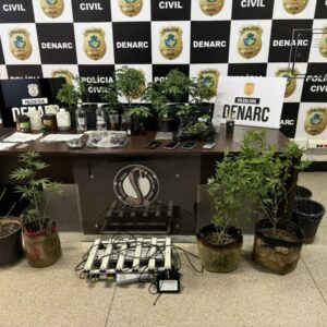 Operação ‘Oil Green’: PCGO fecha laboratório de maconha usado na produção de óleo e shampoo em bairro nobre de Goiânia