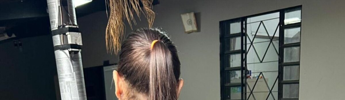 PCGO recupera carga de produtos agrícolas comprados por investigados mediante a prática de fraude eletrônica