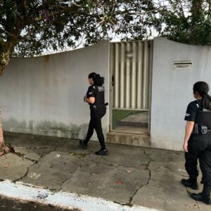 ‘Diploma Fake – 2ª fase’: PCGO cumpre mais de 50 medidas judiciais em GO, MT e BA contra grupo investigado por emissão de diplomas falsos