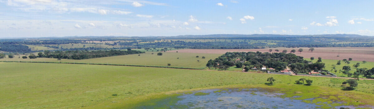 Programa Nascentes: PCGO efetua ações de recuperação ambiental em nascentes do Rio Araguaia