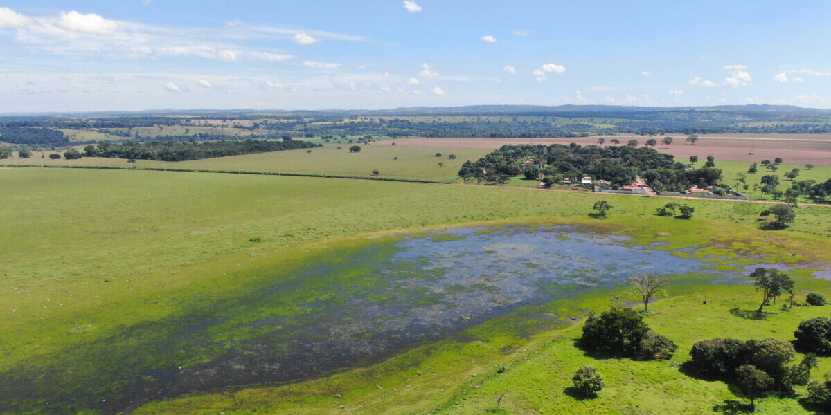 Programa Nascentes: PCGO efetua ações de recuperação ambiental em nascentes do Rio Araguaia