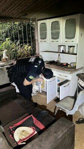 ‘Colchete Aberto’: PCGO cumpre medidas judiciais no MT contra grupo criminoso por furto de novilhas em propriedade rural goiana