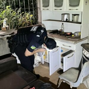 ‘Colchete Aberto’: PCGO cumpre medidas judiciais no MT contra grupo criminoso por furto de novilhas em propriedade rural goiana