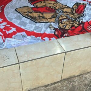 ‘Final de Partida’: PCGO prende integrantes de torcida organizada por emboscada a torcedor rival