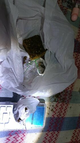 ‘Piscari’: PCGO cumpre 15 medidas judiciais contra o tráfico de drogas em Rianápolis e Goianésia