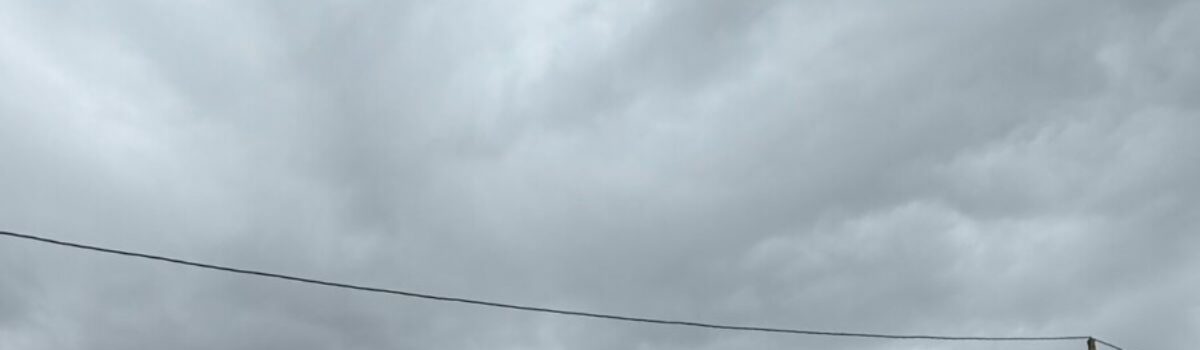 Ação social: PCGO distribui cestas básicas e ovos de Páscoa para crianças em Aparecida de Goiânia