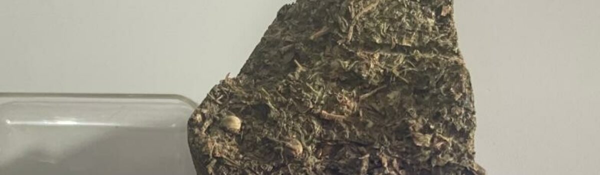 ‘Revenge’: PCGO prende suspeitos de tentativa de homicídio em Rubiataba