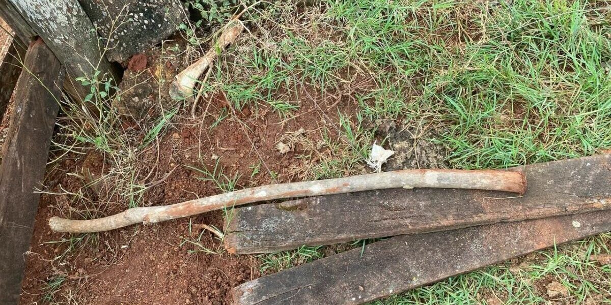 PCGO prende homem que tentou matar produtor rural a pauladas