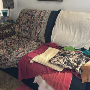 PCGO prende advogado pela segunda vez por crimes de maus-tratos contra a própria mãe idosa