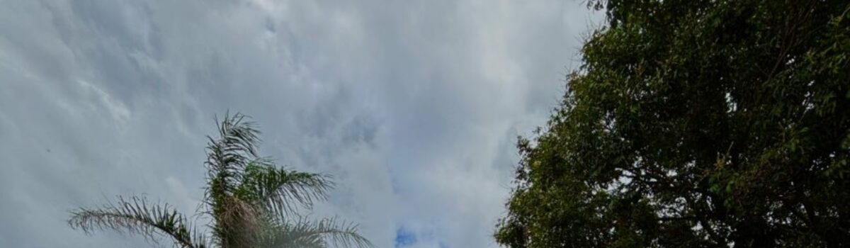 Homem é preso por furto mediante fraude em agências bancárias de SAD