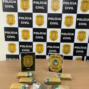 PCGO realiza operação conjunta com a PCDF para