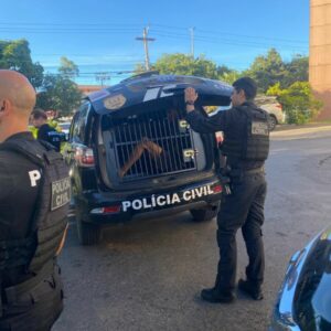 PCGO realiza operação conjunta com a PCDF para