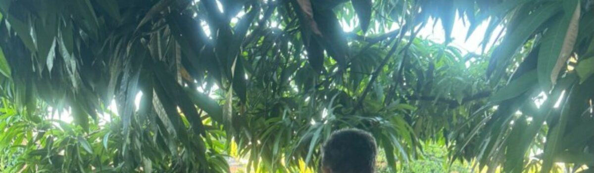 Operação Insolentia cumpre prisões e buscas contra investigados por homicídios tentado e consumado ocorridos em Planaltina