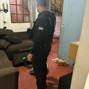 ‘Domínio Final’: PCGO cumpre 40 medidas judiciais em desfavor de investigados por tráfico de drogas