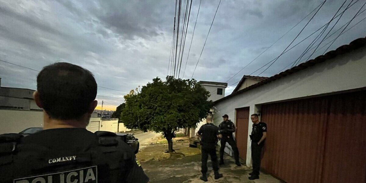 PCGO identifica autor de furto de veículo em Silvânia