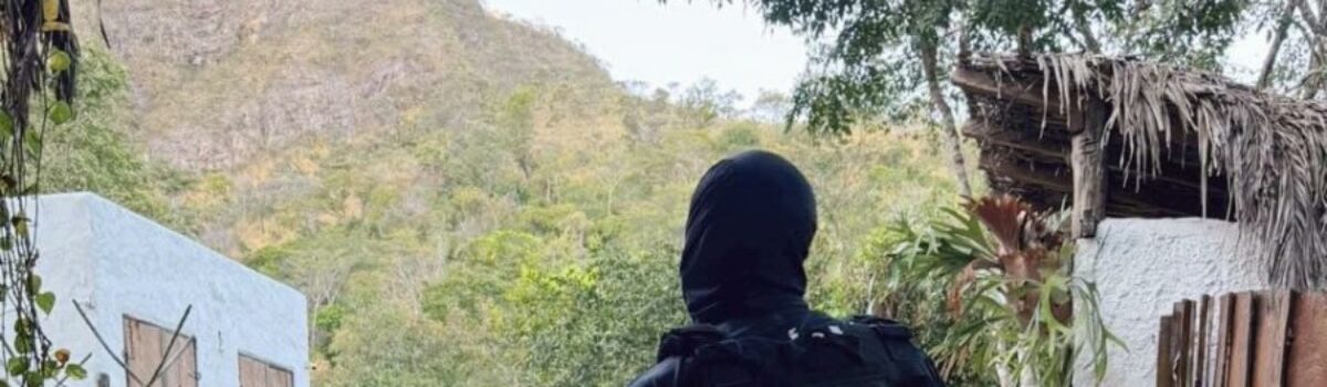 Polícia Civil prende em flagrante suspeito contumaz de furtar bebida alcoólica de alto valor em supermercados de Alto Paraíso